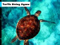 https://www.fvhl.cn/game/turtle-diving-jigsaw