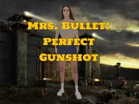 https://www.fvhl.cn/game/mrs-bullet-perfect-gunshot