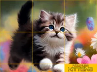 https://www.fvhl.cn/game/puzzle-sliding-kittens