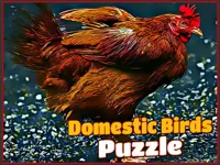 https://www.fvhl.cn/game/domestic-birds-puzzle