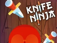 https://www.fvhl.cn/game/knife-ninja
