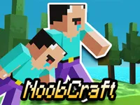 https://www.fvhl.cn/game/parkour-craft-noob-steve-2