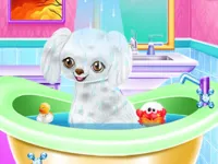 https://www.fvhl.cn/game/my-new-poodle-friend