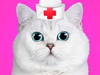 https://www.fvhl.cn/game/cat-pet-doctor-dentist