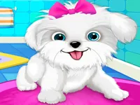 https://www.fvhl.cn/game/puppy-pet-salon-amp-amp-dog-daycare