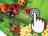 https://www.fvhl.cn/game/ladybug-clicker