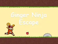 https://www.fvhl.cn/game/ginger-ninja-escape