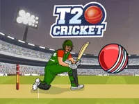 https://www.fvhl.cn/game/t20-cricket