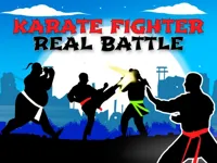 https://www.fvhl.cn/game/karate-fighter-real-battles
