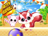 https://www.fvhl.cn/game/racoon-headball