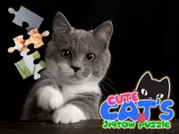 https://www.fvhl.cn/game/cute-cats-jigsaw-puzzle