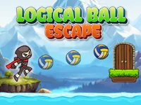 https://www.fvhl.cn/game/logical-ball-escape