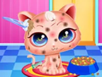 https://www.fvhl.cn/game/cute-kitty-care-pet-makeover