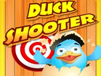 https://www.fvhl.cn/game/duck-shooter