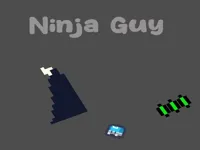 https://www.fvhl.cn/game/ninja-guy