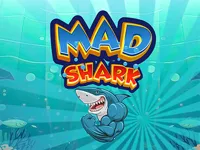 https://www.fvhl.cn/game/mad-shark-fish
