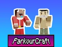 https://www.fvhl.cn/game/parkour-craft-noob-steve