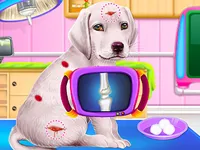 https://www.fvhl.cn/game/labrador-puppy-daycare-salon