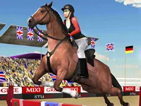 https://www.fvhl.cn/game/horse-jumping-show-3d