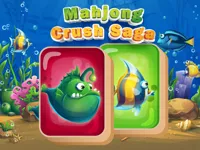 https://www.fvhl.cn/game/mahjong-crush-saga