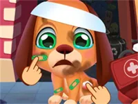 https://www.fvhl.cn/game/stray-puppy-pet-care-game