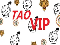 https://www.fvhl.cn/game/taovip