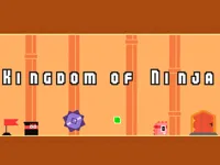 https://www.fvhl.cn/game/kingdom-of-ninja