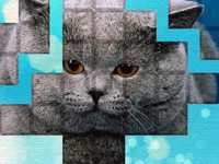 https://www.fvhl.cn/game/picpu-cat-puzzle