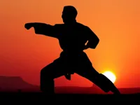 https://www.fvhl.cn/game/karate-sunset-warriors