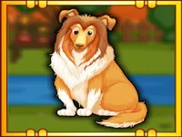 https://www.fvhl.cn/game/bernese-mountain-dog-escape