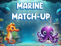 https://www.fvhl.cn/game/marine-match-up