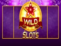 https://www.fvhl.cn/game/wild-slot