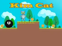 https://www.fvhl.cn/game/kim-cat