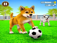 https://www.fvhl.cn/game/my-virtual-dog-care