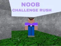 https://www.fvhl.cn/game/noob-challenge-rush