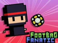 https://www.fvhl.cn/game/footbag-fanatic