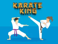https://www.fvhl.cn/game/karate-king