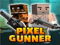 https://www.fvhl.cn/game/pix-gunner