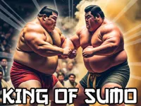https://www.fvhl.cn/game/king-of-sumo