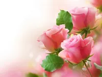 https://www.fvhl.cn/game/pink-roses-puzzle