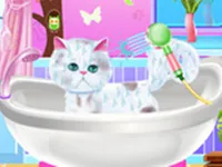 https://www.fvhl.cn/game/excellent-pet-groomer