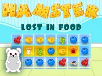 https://www.fvhl.cn/game/hamster-lost-in-food