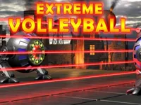 https://www.fvhl.cn/game/extreme-volleyball