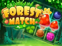 https://www.fvhl.cn/game/forest-match