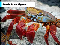 https://www.fvhl.cn/game/beach-crab-jigsaw
