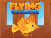 https://www.fvhl.cn/game/flying-challenge