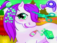 https://www.fvhl.cn/game/my-unicorn-pony-pet-salon