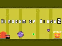 https://www.fvhl.cn/game/kingdom-of-ninja-2