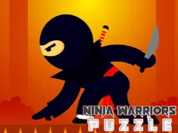 https://www.fvhl.cn/game/ninja-warriors-puzzle
