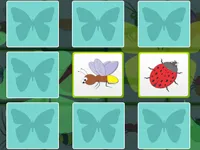 https://www.fvhl.cn/game/kids-memory-insects